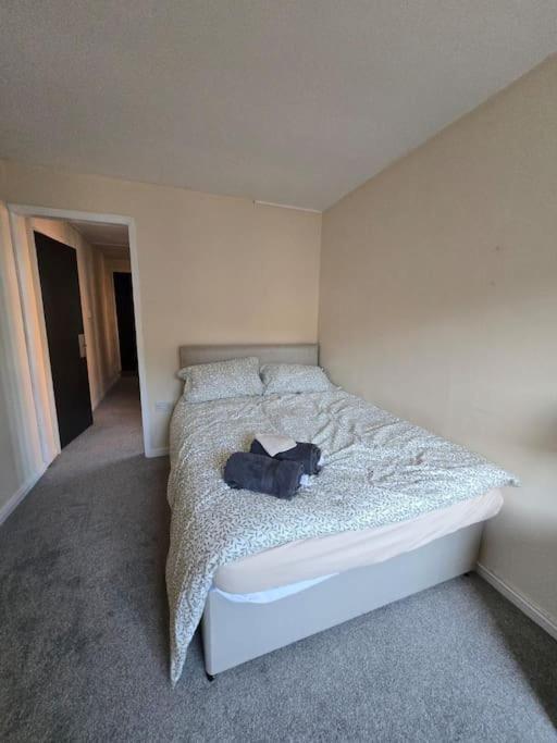 Snow Hill Apartment Birmingham